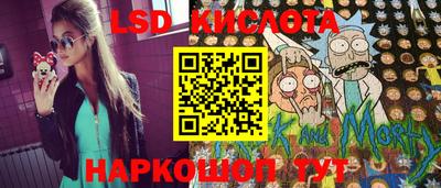 прущие крисы Кандалакша