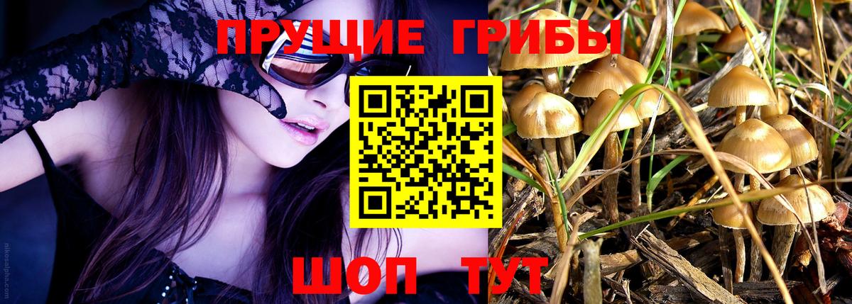 Галлюциногенные грибы MAGIC MUSHROOMS  Вход с VPN  Галлюциногенные грибы мицелий  Коммунар 